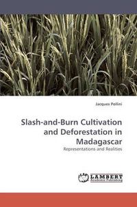 Cover image for Slash-and-Burn Cultivation and Deforestation in Madagascar