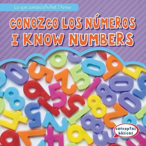 Cover image for Conozco Los Numeros / I Know Numbers