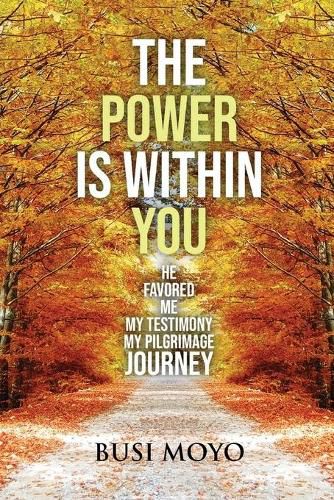 Cover image for The Power Is Within You