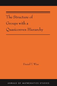 Cover image for The Structure of Groups with a Quasiconvex Hierarchy: (AMS-209)