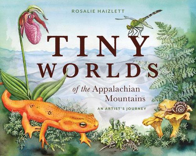 Cover image for Tiny Worlds of the Appalachian Mountains