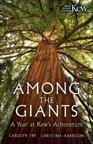 Cover image for Among the Giants
