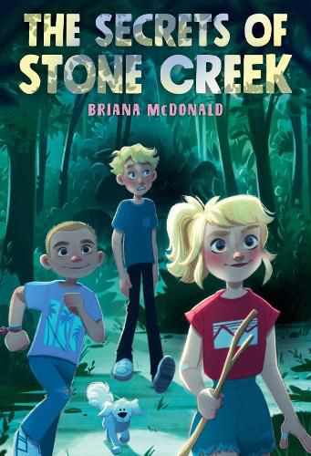 Cover image for The Secrets of Stone Creek