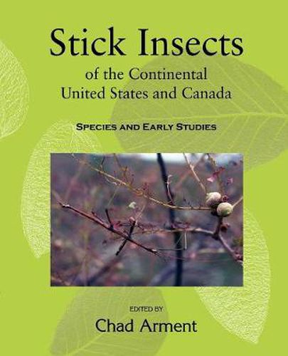 Cover image for Stick Insects of the Continental United States and Canada: Species and Early Studies