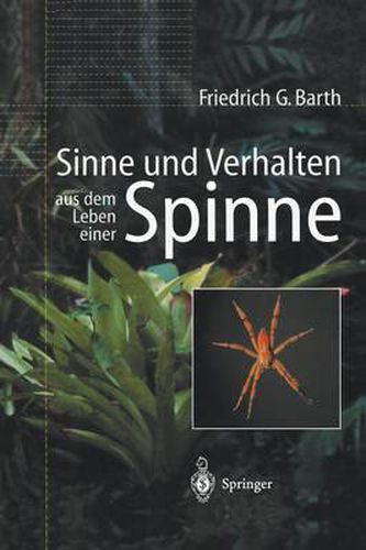 Sinne Und Verhalten: Aus Dem Leben Einer Spinne