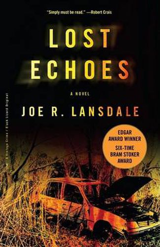 Cover image for Lost Echoes