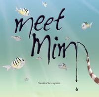 Cover image for Meet MIM