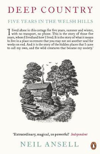 Cover image for Deep Country: Five Years in the Welsh Hills