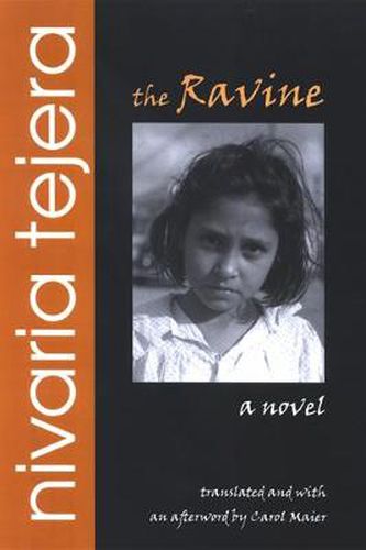 Cover image for The Ravine