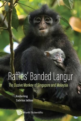 Cover image for Raffles' Banded Langur: The Elusive Monkey Of Singapore And Malaysia