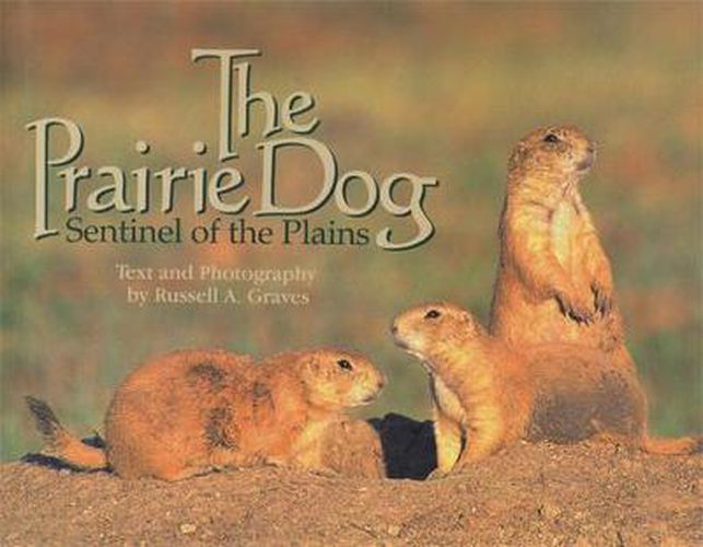 Cover image for The Prairie Dog: Sentinel of the Plains