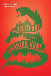 Cover image for Mr. Splitfoot