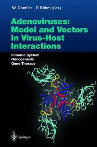 Cover image for Adenoviruses: Model and Vectors in Virus-Host Interactions: Immune System, Oncogenesis, Gene Therapy