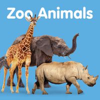 Cover image for Zoo Animals: Board book