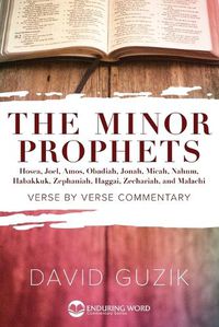 Cover image for Minor Prophets