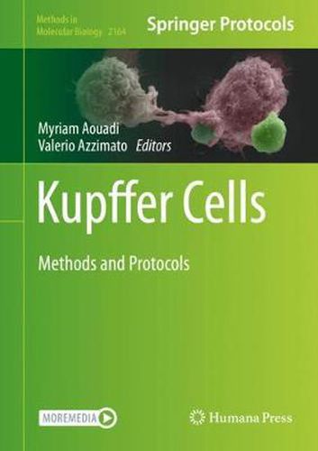 Cover image for Kupffer Cells: Methods and Protocols