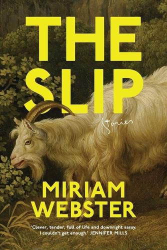 Cover image for The Slip