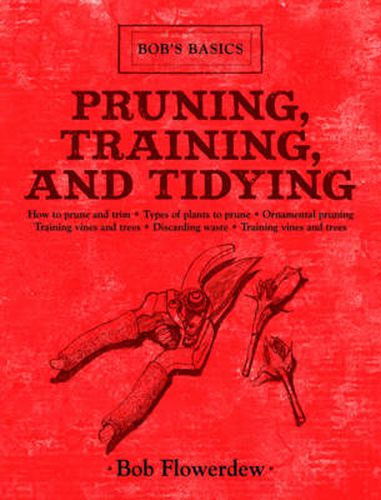 Cover image for Pruning, Training, and Tidying: Bob's Basics