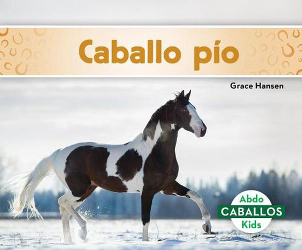 Cover image for Caballo Pinto / Pinto Horses