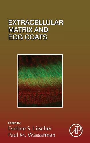 Extracellular Matrix and Egg Coats