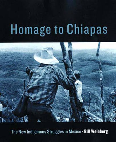 Cover image for Homage to Chiapas: The New Indigenous Struggles in Mexico