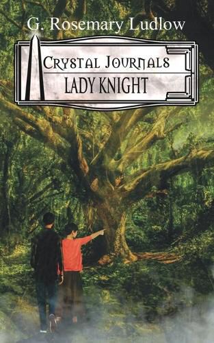 Cover image for Lady Knight: Crystal Journals Book 3