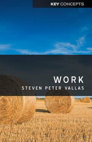 Cover image for Work - A Critique