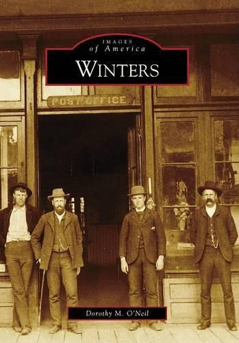 Cover image for Winters