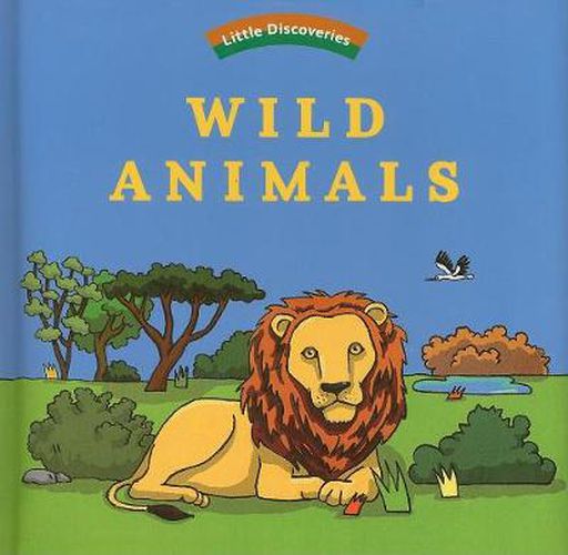 Little Discoveries: Wild Animals