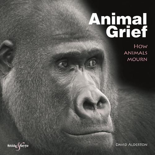 Animal Grief: How Animals Mourn