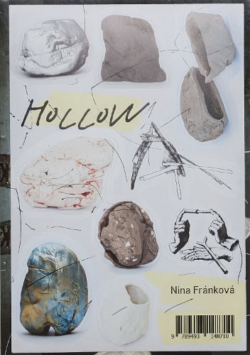 Cover image for Hollow