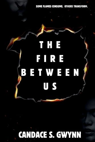 Cover image for The Fire Between Us