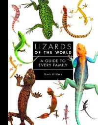 Cover image for Lizards of the World: A Guide to Every Family