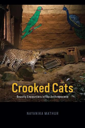 Cover image for Crooked Cats: Beastly Encounters in the Anthropocene