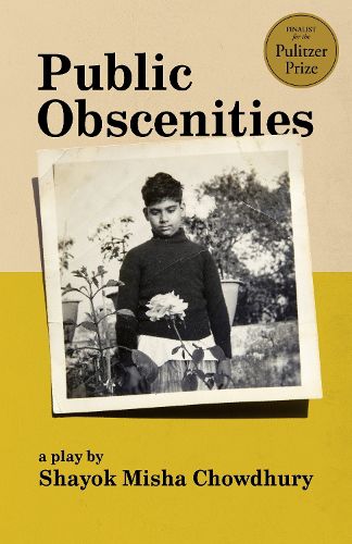 Cover image for Public Obscenities