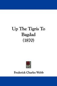 Cover image for Up the Tigris to Bagdad (1870)