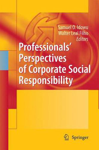 Cover image for Professionals Perspectives of Corporate Social Responsibility