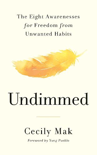 Cover image for Undimmed