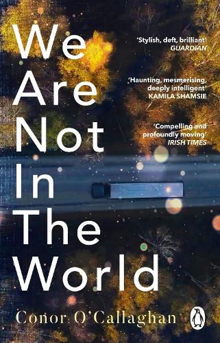 Cover image for We Are Not in the World: 'compelling and profoundly moving' Irish Times