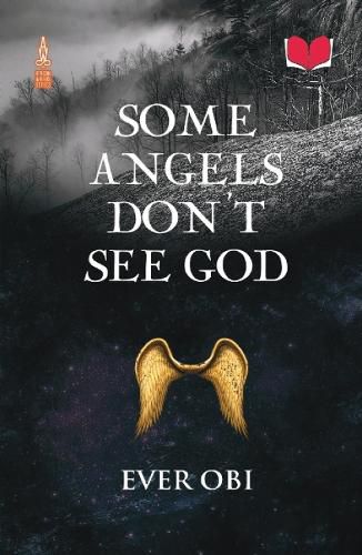 Cover image for Some Angels Don't See God