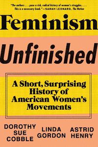 Cover image for Feminism Unfinished: A Short, Surprising History of American Women's Movements