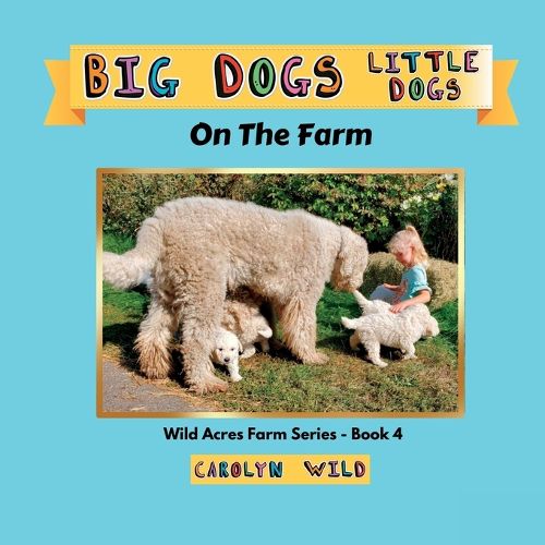 Cover image for Big Dogs Little Dogs