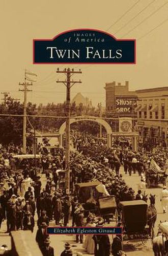 Cover image for Twin Falls