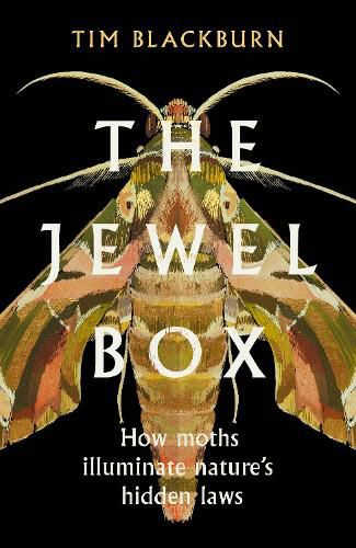 The Jewel Box