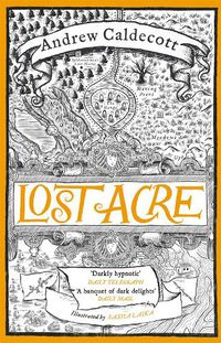 Cover image for Lost Acre: Rotherweird Book III