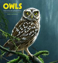 Cover image for Owls Paintings by Jeremy Paul 2020 Wall