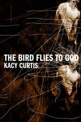 Cover image for The Bird Flies to God