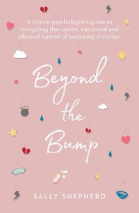Cover image for Beyond the Bump
