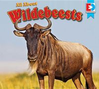 Cover image for All about Wildebeests