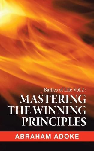 Cover image for Mastering the Winning Principles